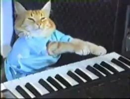  键盘猫，这只名为