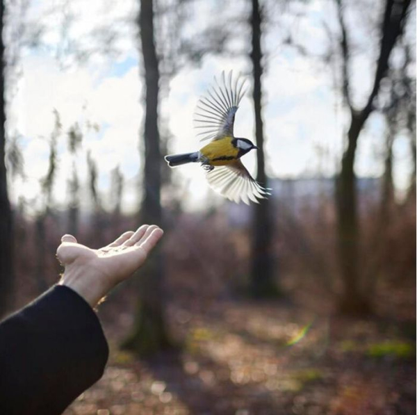 © Cig Harvey Goldfinch, St. Petersburg, Russia, 2014. Courtesy of Robert Mann Gallery (New York)
