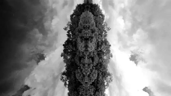 Felipe Esparza费利佩•埃斯帕萨（秘鲁）死亡之绳 （视频截图）2015