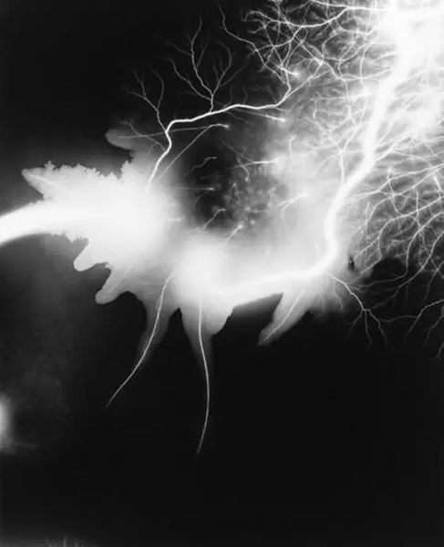 Lightning Fields 168 