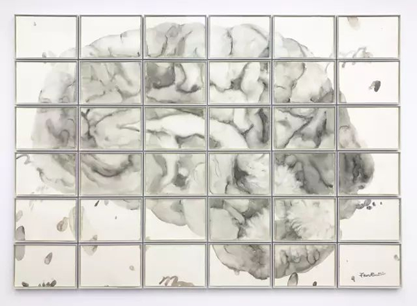 大切片 / Big Pathological Section｜400x280cm｜纸本综合材料 / Mix media on paper｜2017