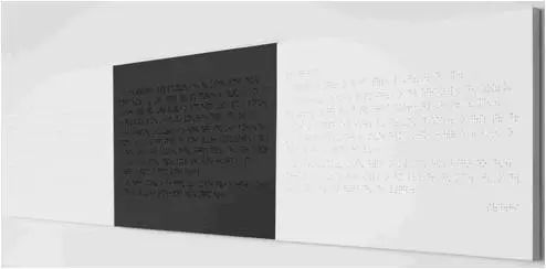 B2-42、B2-43、B2-44｜200x120cmx3｜麻布 油彩 药品 / linen paint tablets｜2017