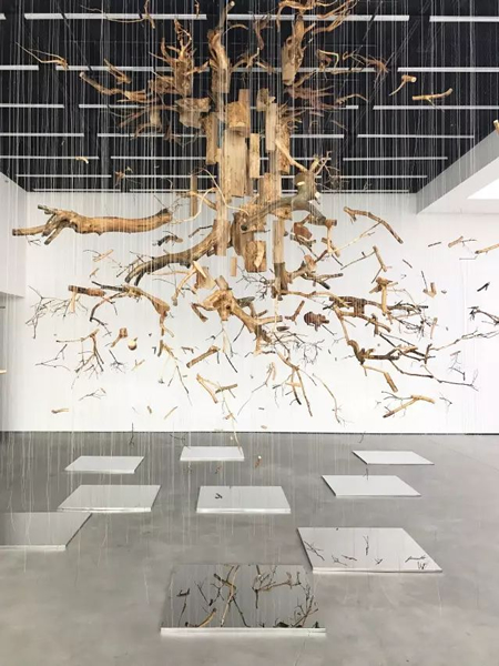 寓言 / The Fable｜尺寸可变 / Variable｜树木、纸本、镜面 / Tree、paper、Mirror｜2017