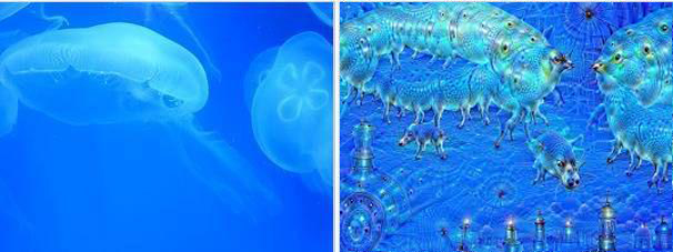 原图（左）与在 DeepDream 中经过十次迭代的生成图（右）