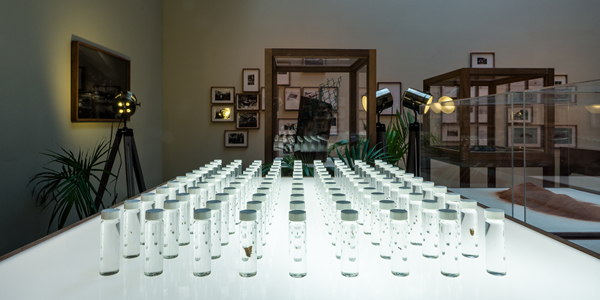 赵仁辉，“亚洲新锐艺术家大奖 2017”展览现场图，2017年