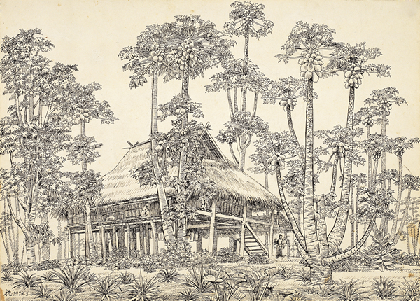 《木瓜人家》  钢笔画  39cmx53cm  祝大年 1978年