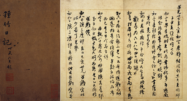 种竹日记  何绍基  27.5 cm×22.4cm  清道光二十七、二十八年（1847—1848年）  湖南省博物馆藏