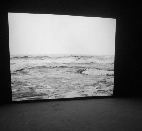 阅读海洋（系列：阅读海洋），2009年