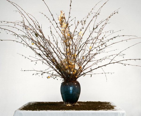 蚕花（枯叶）