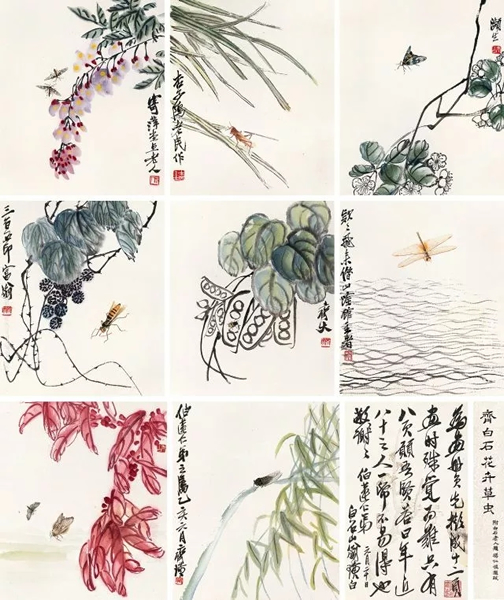 512  齐白石 花卉草虫(八开)