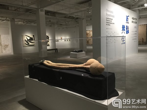 尹秀珍《过滤系:观001》 长约195cm 高约50cm 宽度43cm 不同人穿的衣服, 尼龙丝袜,机动车不锈钢尾喉 2014