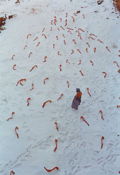 (系列：牧者), 1998 装置, 行为, 200只羊脊柱，滑石粉