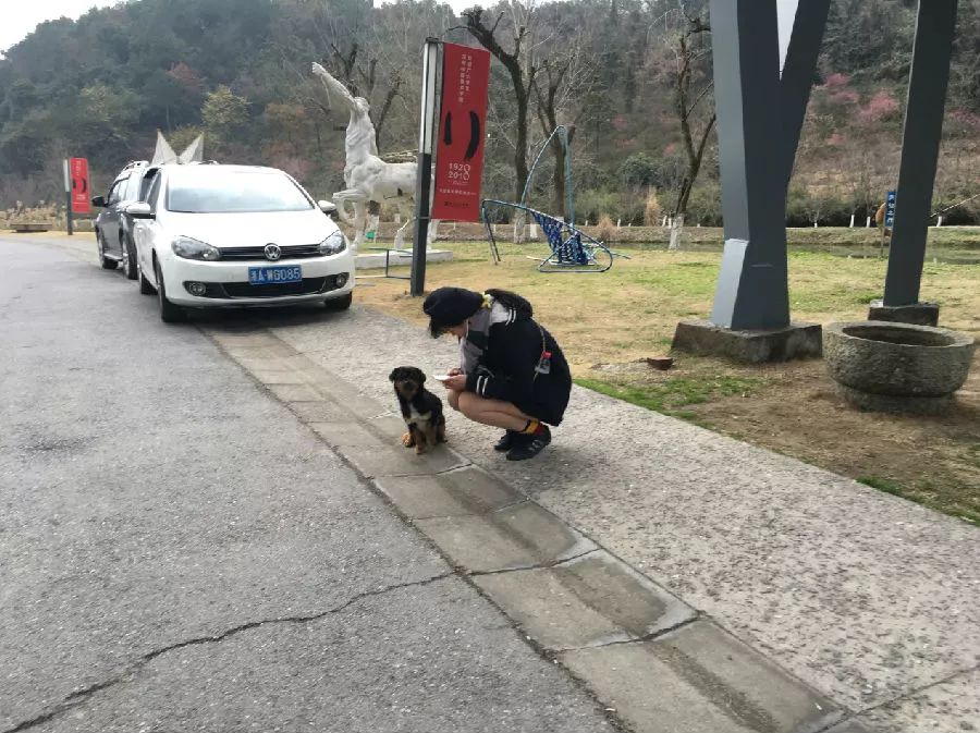 严逸一