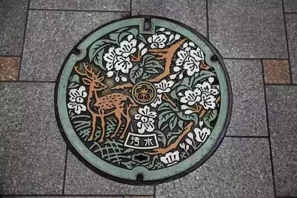 奈良的“神明使者”小鹿