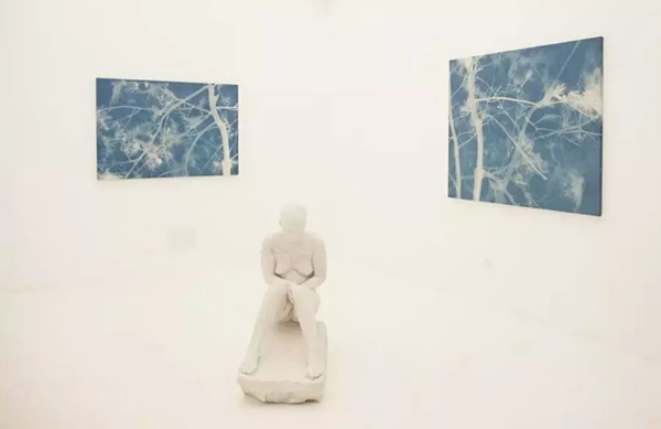张大力“持久的魅力”展览现场  2016