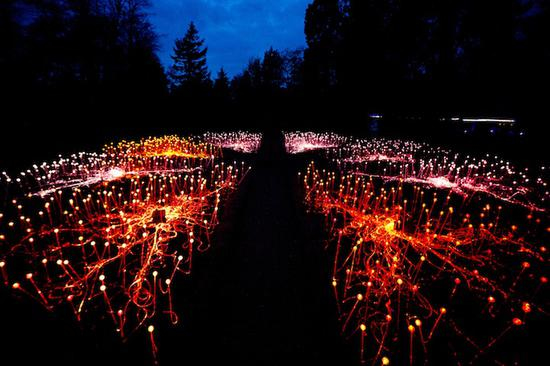 Field of Light  