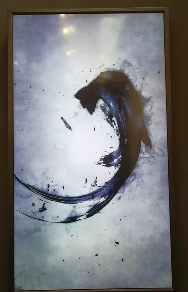 Teamlab 圆相 数字作品 2017年