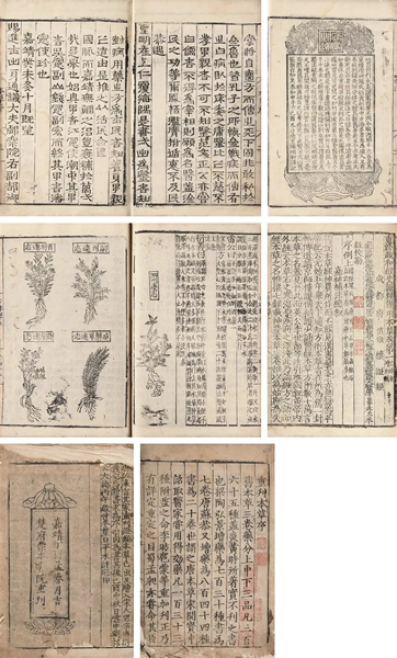 LOT.2123