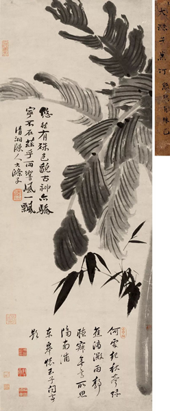 1707 石涛 蕉竹图