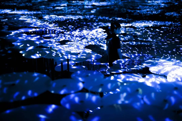 The Way of the Sea in the Memory of Topography - Colors of Life