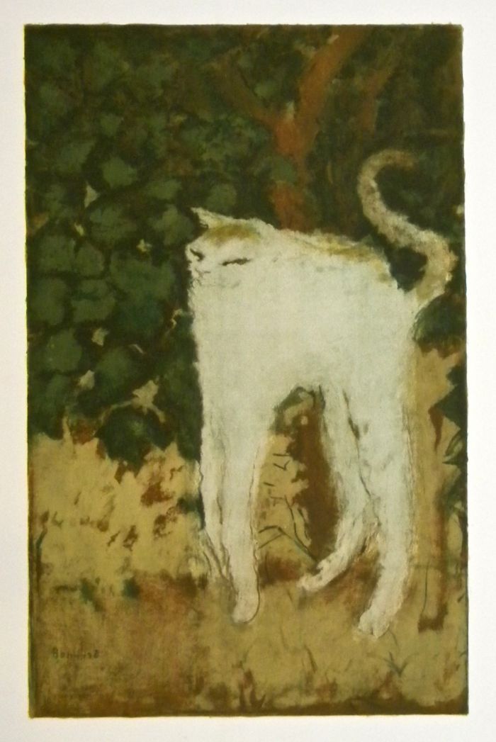 《白猫》（Le chat blanc ），皮尔·波纳尔（Pierre Bonnard） (1867-1947)