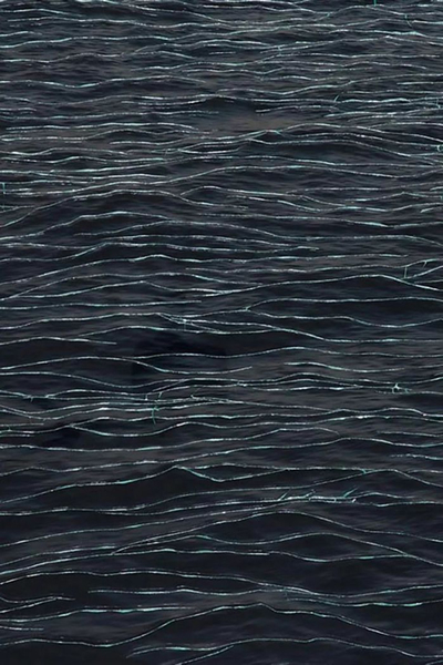 Miguel Rothschild《黑海》，有色印刷、破碎的安全玻璃，100×140cm，2016年