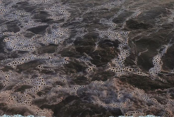 Miguel Rothschild《同甘共苦》，穿孔喷墨打印、由穿孔工艺制成的散状纸屑，98×146cm，2016年