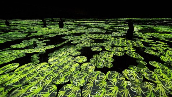 Memory of Topograph teamLab, 2018, Interactive Digital Installation, Sound: Hideaki Takahashi