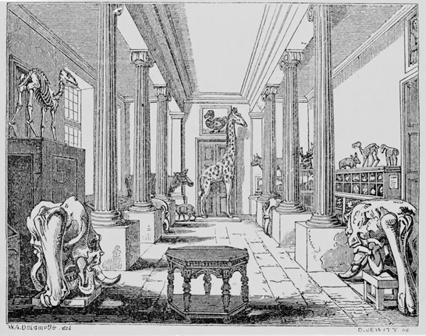 奥兰多·朱维特(Orlando Jewitt)，阿什莫林博物馆内部，1836年，来自阿什莫林博物馆画册扉页。图片致谢阿什莫林博物馆