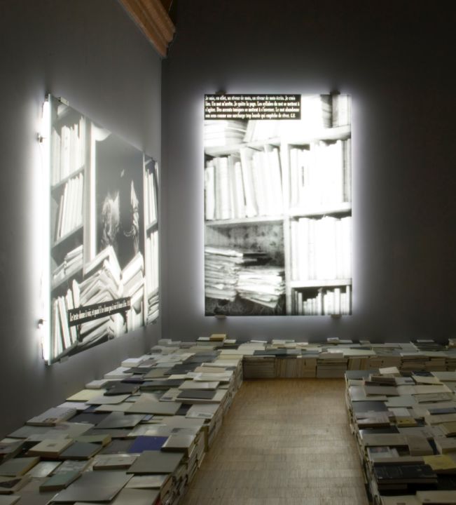 The Phenomenon of the library/ Joseph Kosuth / 2006