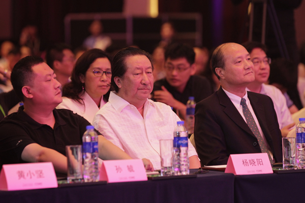 中国国家画院院长  杨晓阳