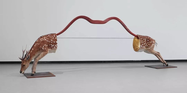 圣吉尔斯之弓，2015