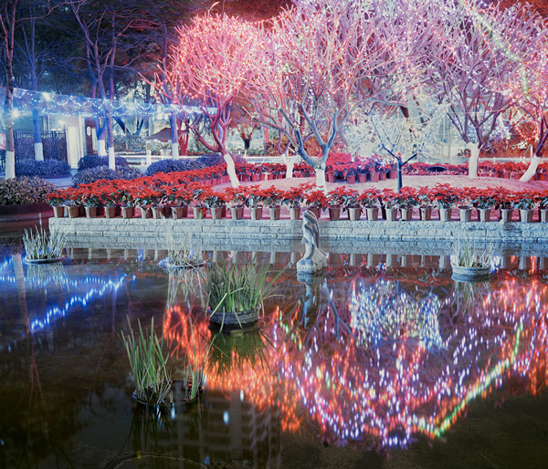 《盐水池塘 Salt Ponds》