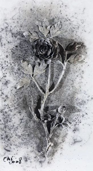 《黑牡丹》Black Peony