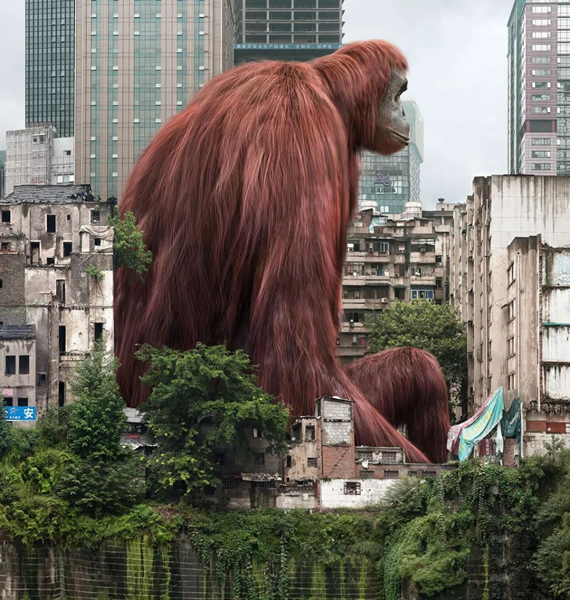 © LIU DI, Animal Regulation IV No. 18, Courtesy of Pekin Fine Arts (Beijing & Hong Kong)