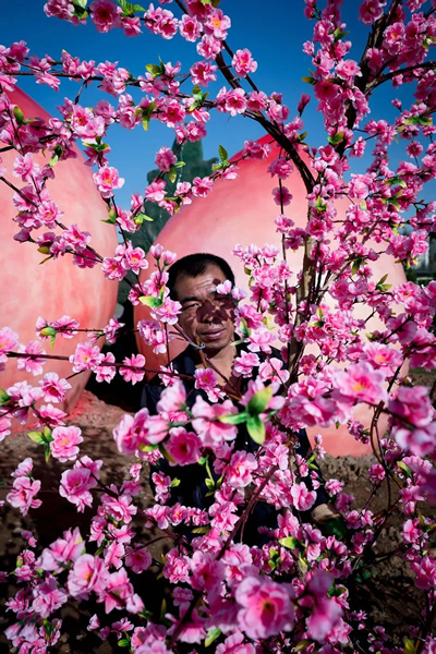 © FENG LI, Peach Blossom 2016.  Courtesy of A Thousand Plateaus Gallery (Chengdu)