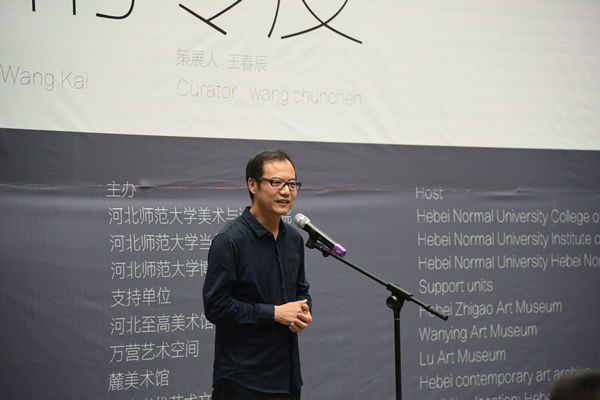 著名策展人、中央美术学院美术馆副馆长王春辰教授