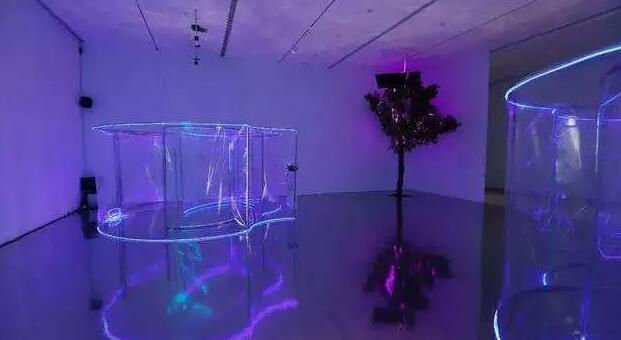 “WAVELENGTH：出厂设置——沉浸式艺术体验大展”现场