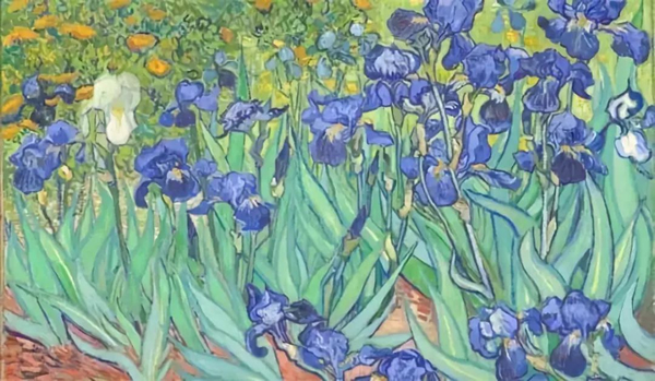梵高 《鸢尾花》