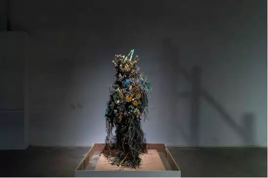 弗朗索瓦·克努埃泽参展作品《核心垃圾—电子亡灵》