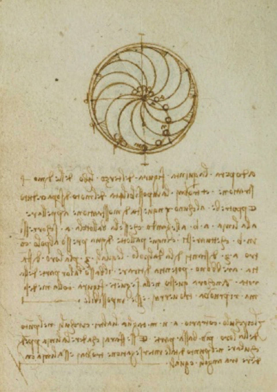 《福斯特手稿》（Codex Forster），V&A 博物馆藏