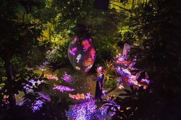 LivingThingsofFlowers,SymbioticLivesintheBotanicalGarden  
