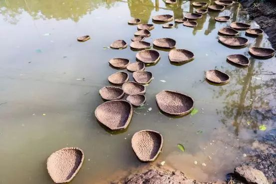 李波《浮土》， 行为、影像，2018