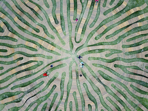 包容你我。图／Yong Ju Lee