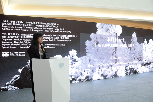 明珠美术馆执行馆长、策展人李丹丹