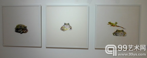 “温暖+晓亮”双人展于D.space画廊拉开帷幕