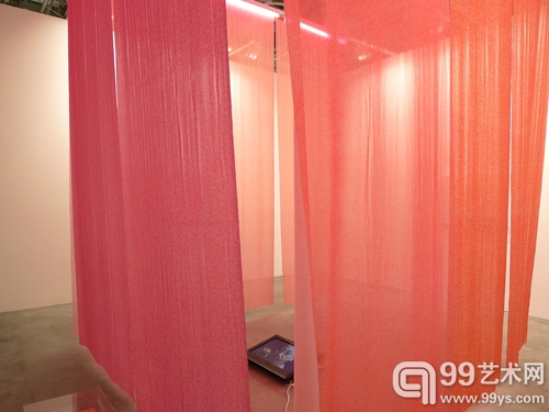 指印2012.1.10.(装置)，丝绸、宣纸、显示器