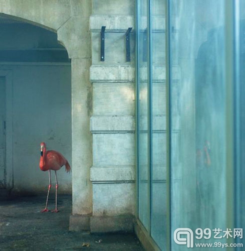 Eric PILLOT《In Situ》系列摄影 铝板艺术纸彩印