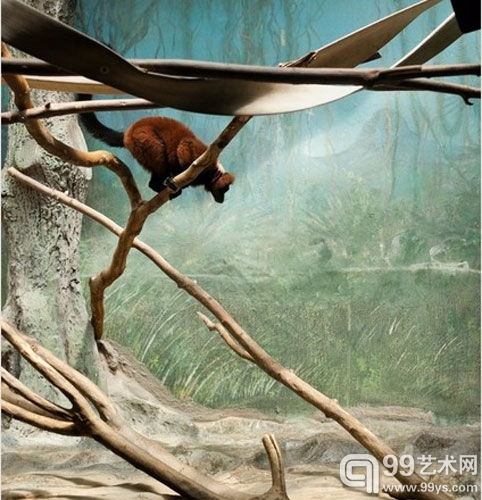 Eric PILLOT《In Situ》系列摄影 铝板艺术纸彩印