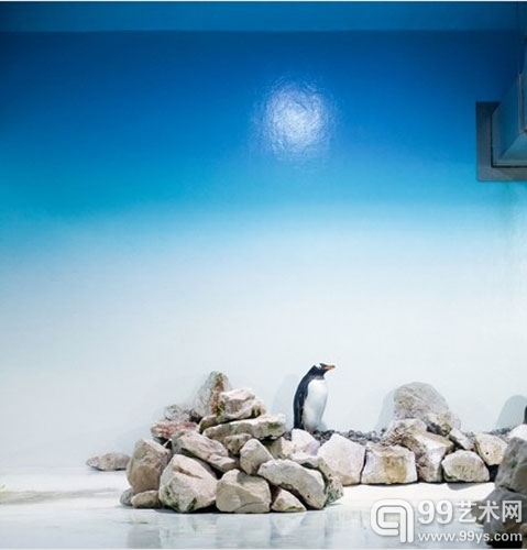 Eric PILLOT《In Situ》系列摄影 铝板艺术纸彩印